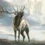 Fine art print featuring a bull elk in Lord of the Timber by Marian Anderson