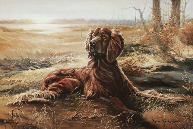 A Friend for All Seasons fine art print by Marian Anderson featuring and Irish Setter dog.