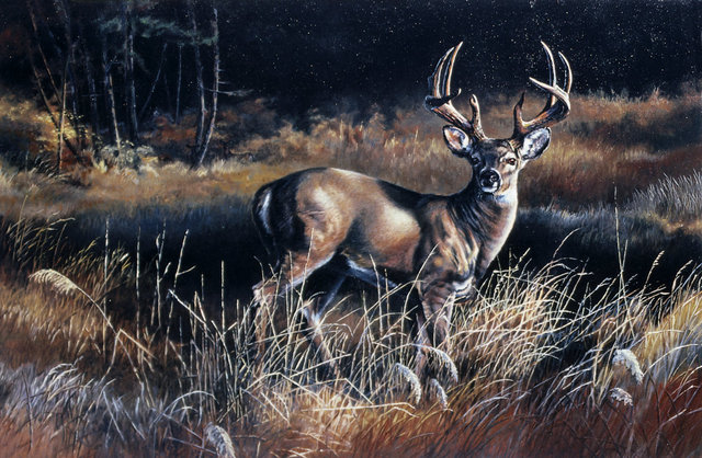 Autumn Encounter, a print by Marian Anderson, shows a white-tailed buck standing watch.