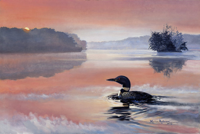 Echoing Sonata, a print by Marian Anderson, shows a single Common Loon on a calm lake with the reflection of a orange and pink sunset.