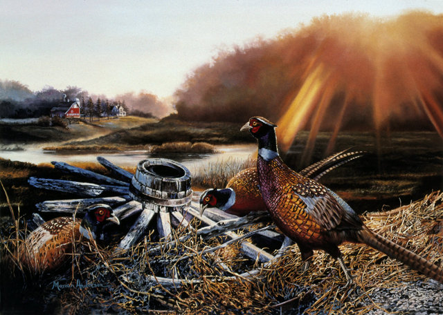 September Sunrise, a print by Marian Anderson, shows a trio of ring-necked pheasants on an autumn morning