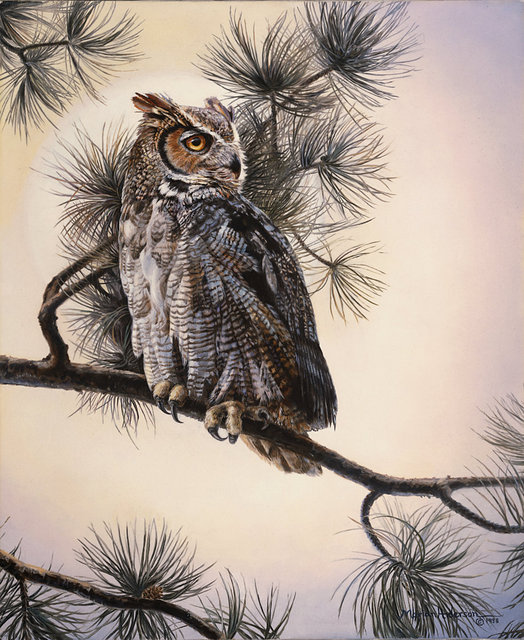 Soft Caller, a print by Marian Anderson, shows a lone Great Horned Owl on a tree branch.