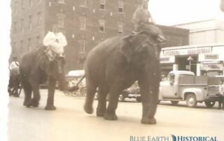 Circus Elephants on Front Street